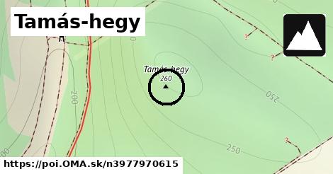 Tamás-hegy