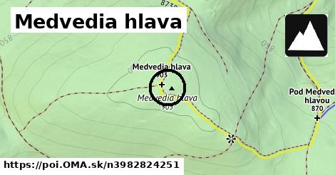 Medvedia hlava