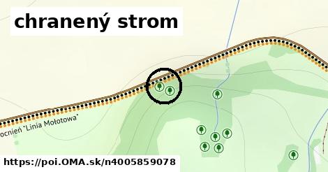 chranený strom