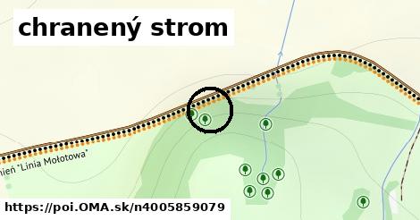 chranený strom