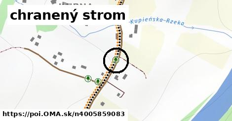 chranený strom