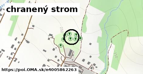 chranený strom