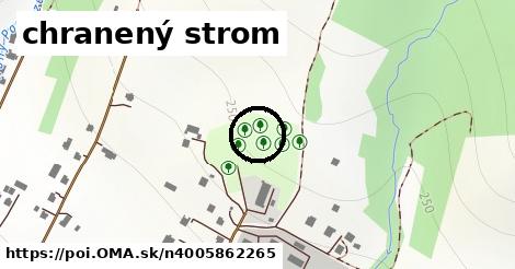 chranený strom