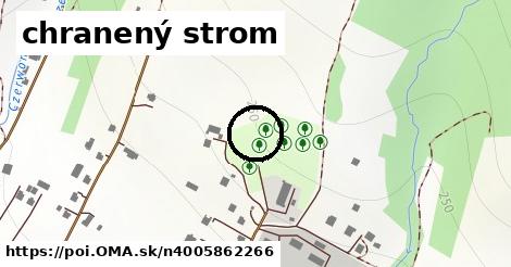 chranený strom