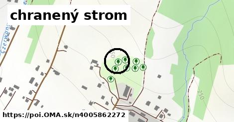 chranený strom