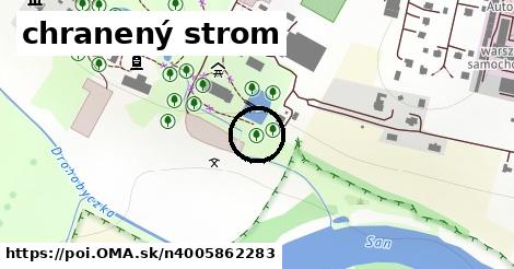 chranený strom