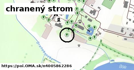 chranený strom