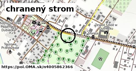 chranený strom