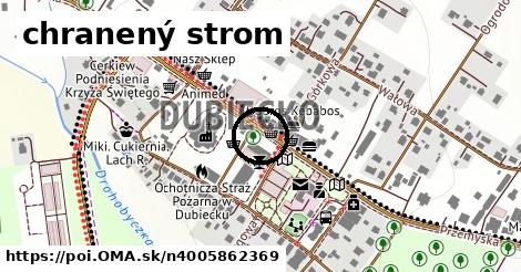 chranený strom