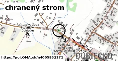 chranený strom