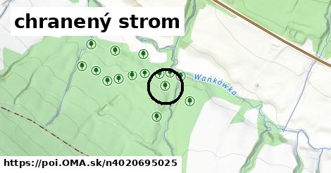 chranený strom