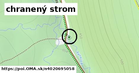 chranený strom