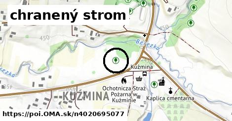 chranený strom