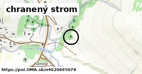 chranený strom