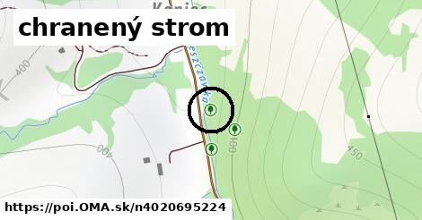 chranený strom