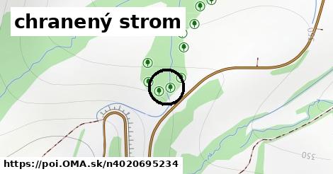 chranený strom