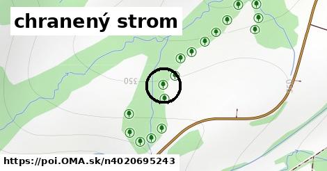 chranený strom