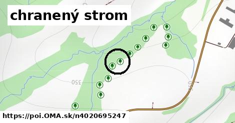 chranený strom