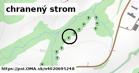 chranený strom