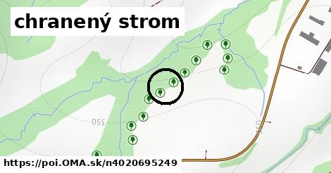 chranený strom