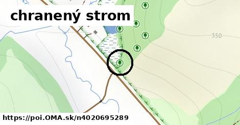 chranený strom