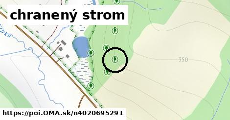 chranený strom