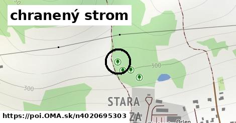 chranený strom