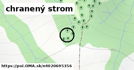 chranený strom