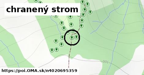 chranený strom