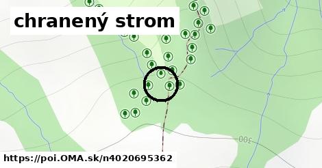 chranený strom