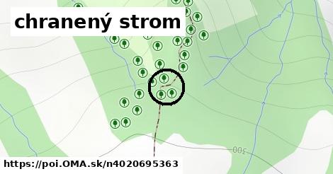 chranený strom