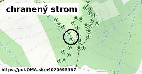 chranený strom