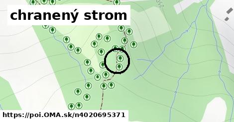 chranený strom