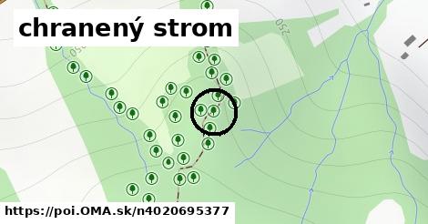 chranený strom