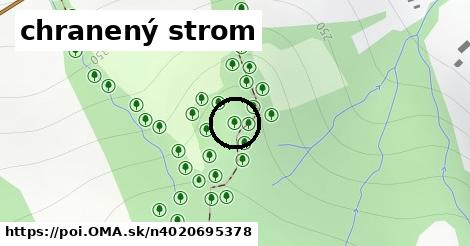 chranený strom