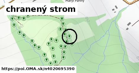 chranený strom