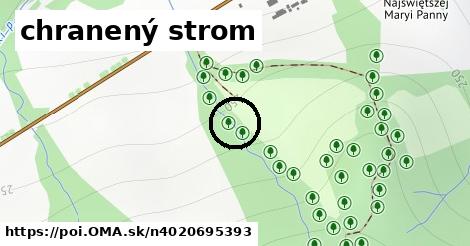 chranený strom