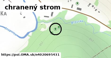 chranený strom