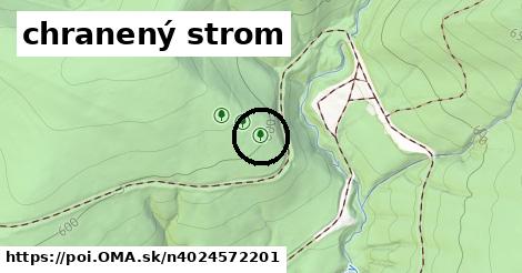 chranený strom