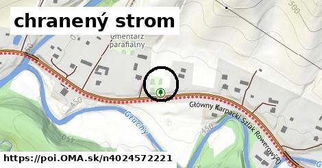 chranený strom