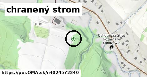 chranený strom