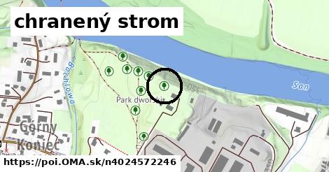 chranený strom