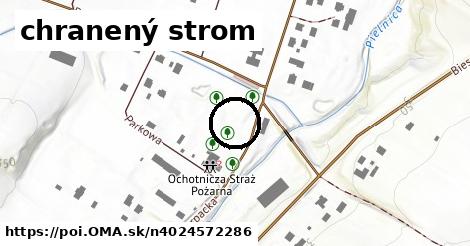 chranený strom