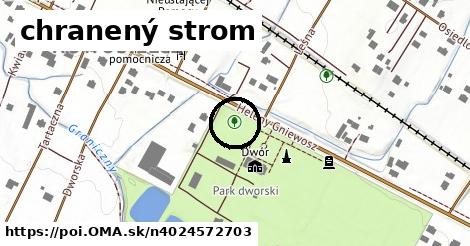 chranený strom