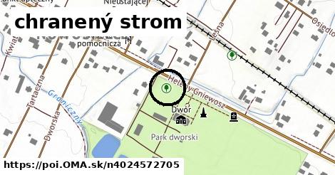 chranený strom