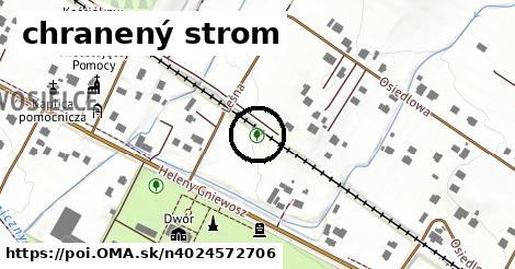 chranený strom