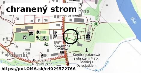 chranený strom