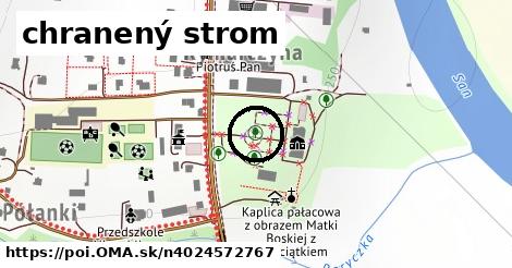 chranený strom