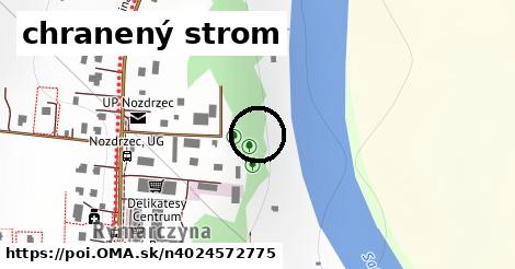 chranený strom