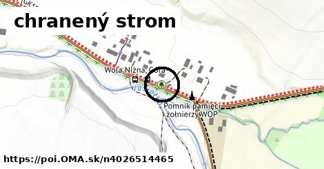 chranený strom